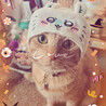 5歳のラジャー☆ハロウィンだから被せてみたけど、すぐに取られてしまい…奇跡の1枚です☆