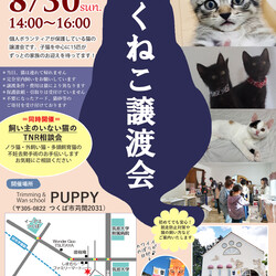 つくねこ譲渡会