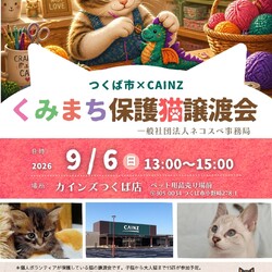 くみまち保護猫譲渡会