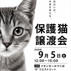保護猫譲渡会