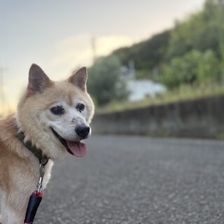 オラフくん