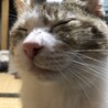 ぜんたろ