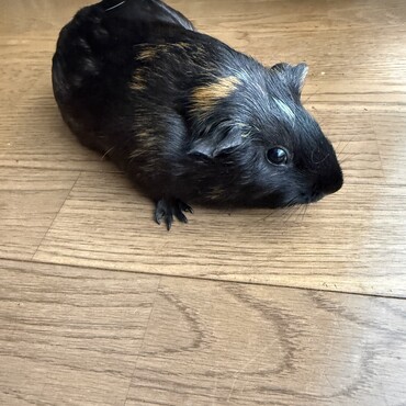 あーちゃん