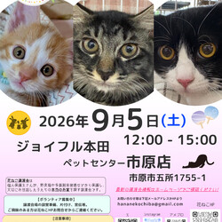 花ねこ譲渡会 サムネイル1