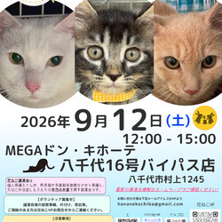 花ねこ譲渡会