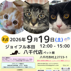 花ねこ譲渡会