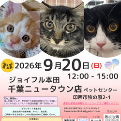 花ねこ譲渡会