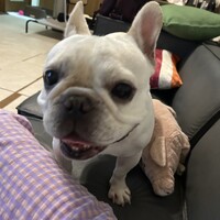 うなぎ