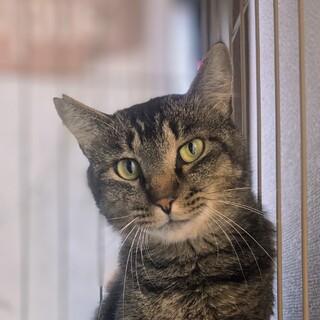 おしゃべり大好き「ナッツ」
