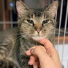 おしゃべり大好き「ナッツ」 サムネイル2