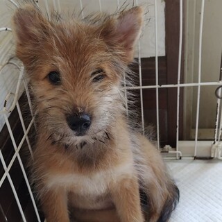 サトちゃん
