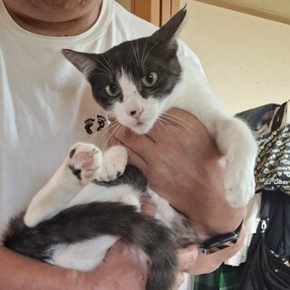 モアちゃん