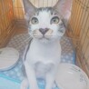 リーフです　　ちょいビビリです サムネイル3
