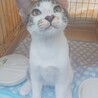 リーフです　　ちょいビビリです サムネイル5
