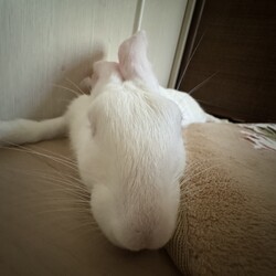安らぎ