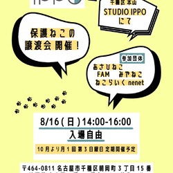 ★〓★〓★ねこの譲渡会★〓★〓★