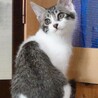 人慣れして穏やかなきいちゃん サムネイル2