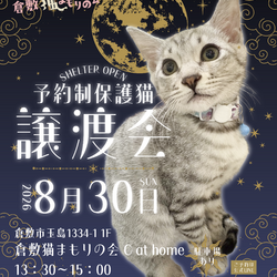 保護猫譲渡会（予約制）