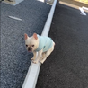 まつもとさ