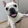 まなべ愛