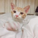 すくすく成長中！育ち盛りのチャチャちゃん