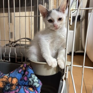 ぼく「なあに」です