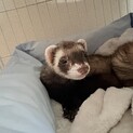 たくさんの応募ありがとうございました