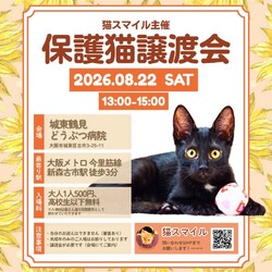 ねこの譲渡会@大阪市