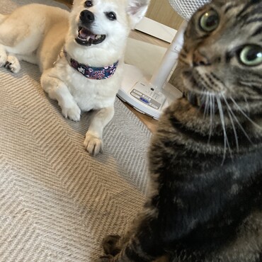 の写真