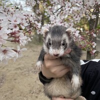 りっちゃん