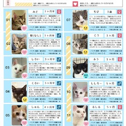 8月23日｛ラブとハッピー府中 保護猫譲渡会｝