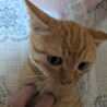 食いしん坊さんの勇気くん サムネイル3