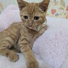 食いしん坊さんの勇気くん サムネイル4