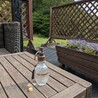 茶々丸の母
