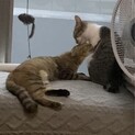 仲良し夫婦