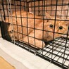 助けて下さい❗障害あり サムネイル3