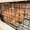 助けて下さい❗障害あり サムネイル4
