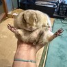 ちかさんです