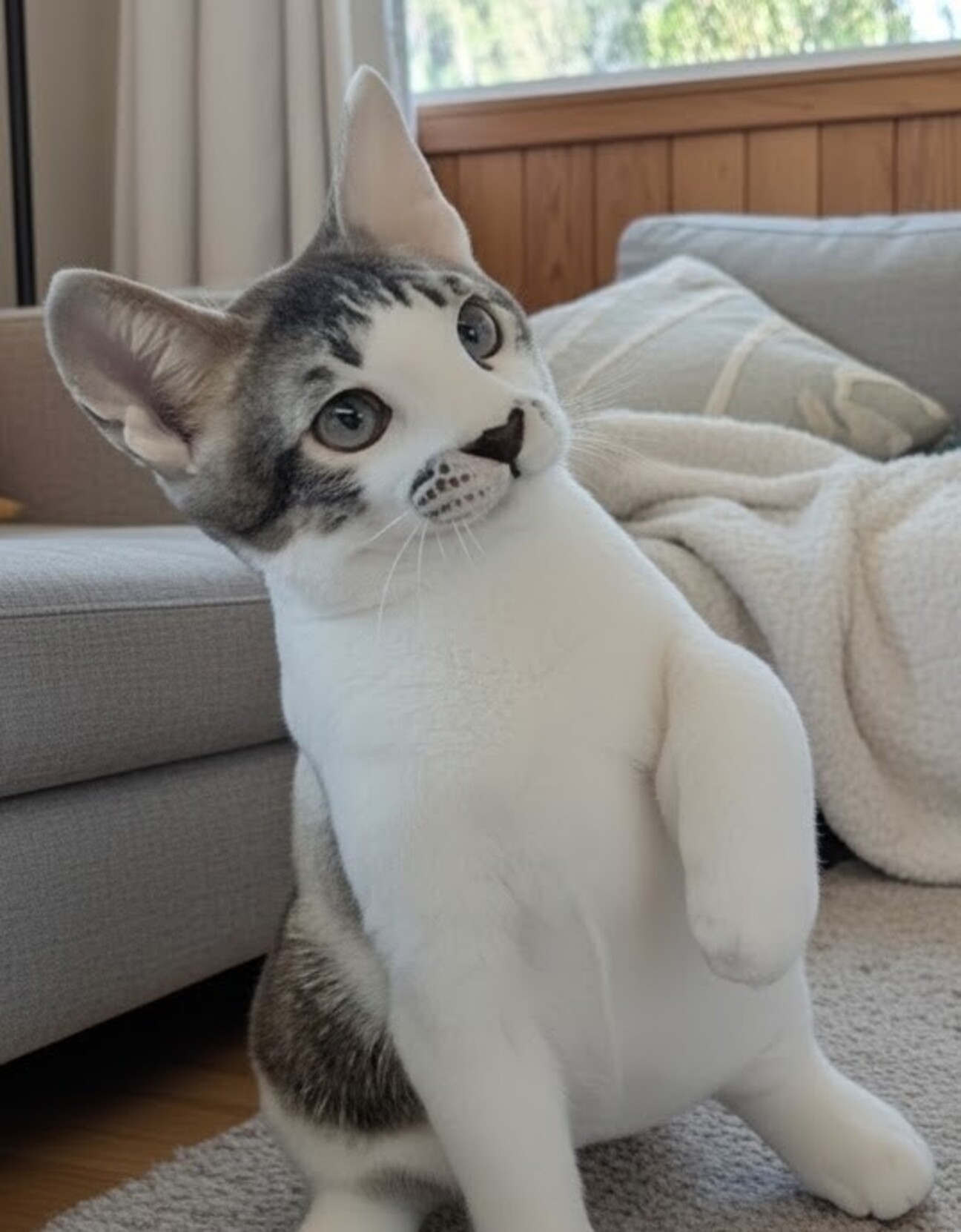 リーフです ちょいビビリですの写真