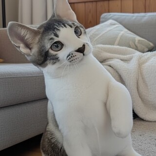 リーフです ちょいビビリです