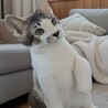 リーフです　　ちょいビビリです サムネイル1