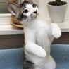 リーフです　　ちょいビビリです サムネイル2