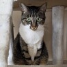 かさご　男の子　２歳 サムネイル2