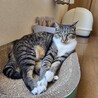 かさご　男の子　２歳 サムネイル3