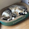 かさご　男の子　２歳 サムネイル5