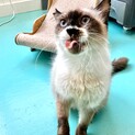 人がだいすき♥️ふわふわポヤン君