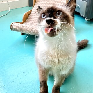 人がだいすき♥️ふわふわポヤン君