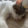 ちぃなつ