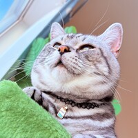 こも