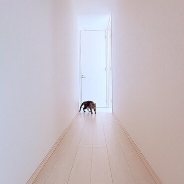 の写真